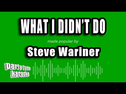 Steve Wariner - What I Didn't Do