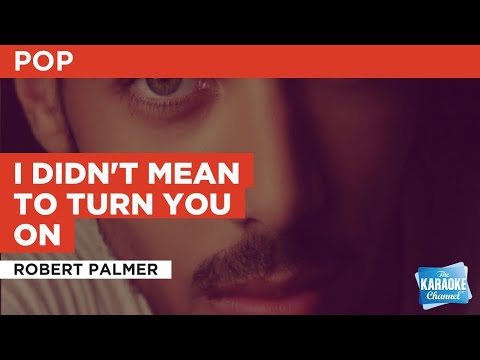 Robert Palmer - I Didn't Mean To Turn You On