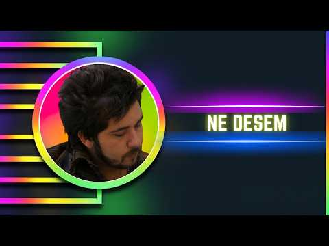 Gitarcı - Ne Desem