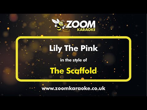 The Scaffold - Lily The Pink