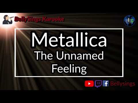 Metallica - The Unnamed Feeling