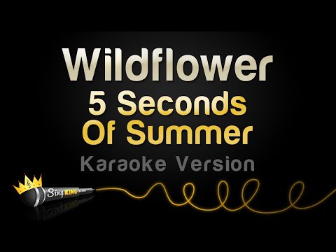5 Seconds Of Summer - Wildflower