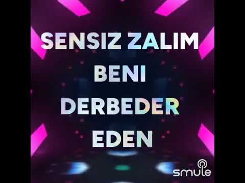 Ne senden geçerim ne meyhaneden