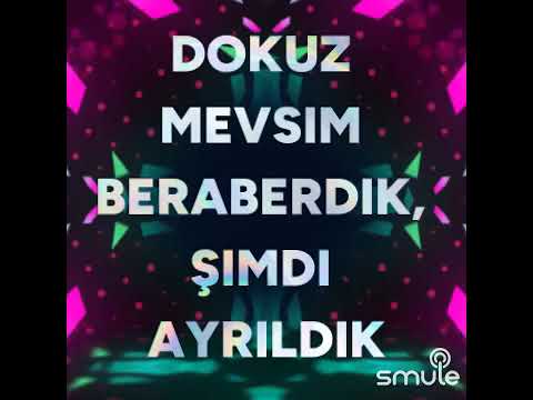 Dokuz mevsim