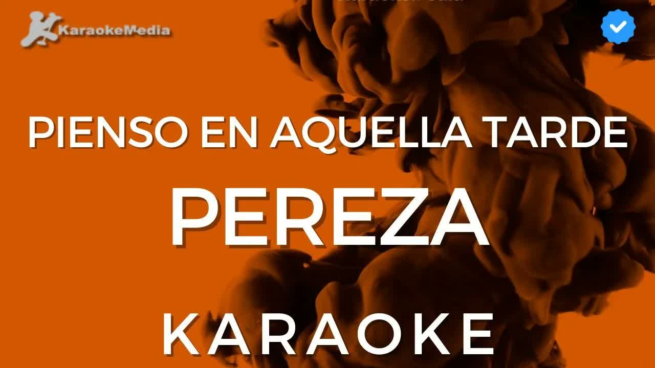 Pereza - Pienso en aquella tarde