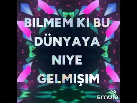 Sözüm yok artık