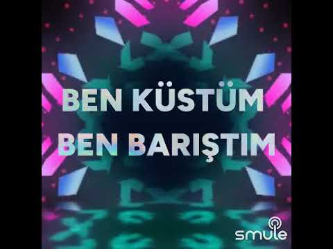 Rüzgar kırdı dalımı