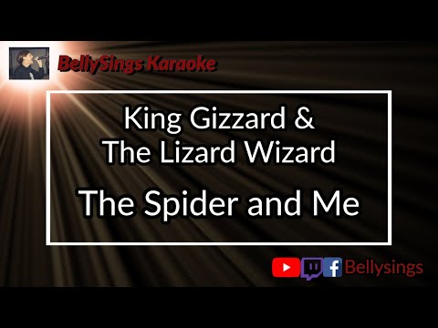 King Gizzard and The Lizard Wizard - The Spider and Me
