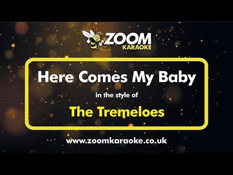 The Tremeloes - Here Comes My Baby (Karaoke Version with Intro Cut Down)