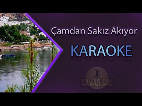 Çamdan Sakız Akıyor
