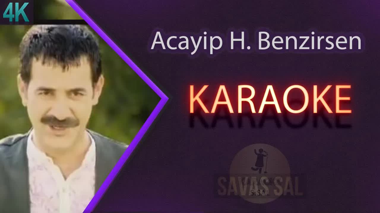 Acayip Hayvanlara Benzirsen Karaoke