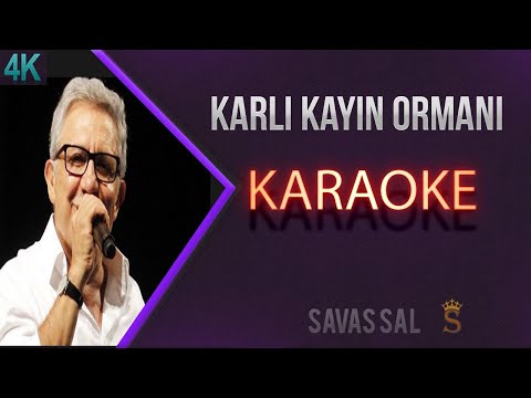Karlı Kayın Ormanında