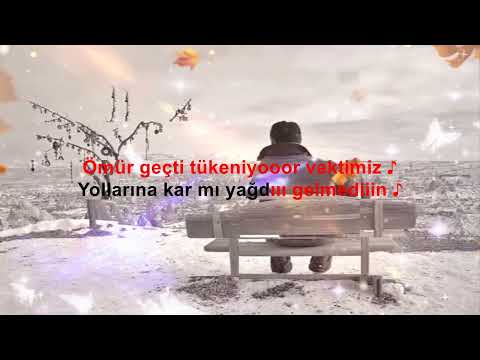 YOLLARINA KARMI YAĞDI