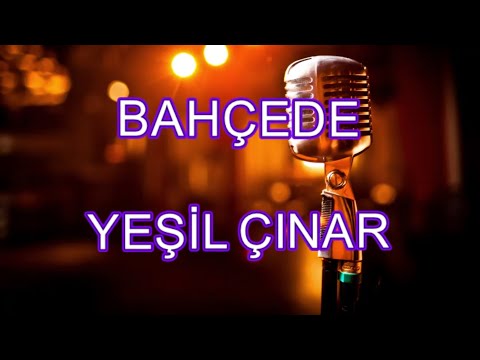 bahçede yeşil çınar