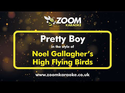 Noel Gallagher's High Flying Birds - Pretty Boy Version from Zoom