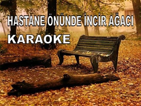 HASTANE ÖNÜNDE İNCİR AĞACI
