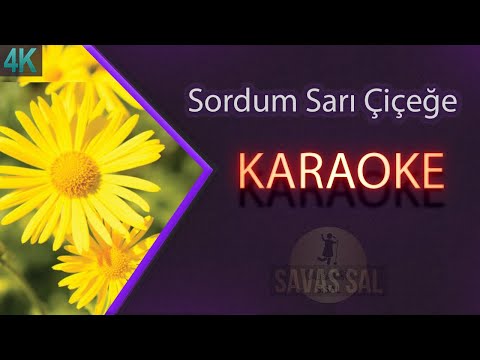 Sordum Sarı Çiçeğe