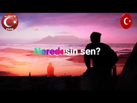 Şu Garip Halimden & Neredesin Sen? *NEŞET ERTAŞ*