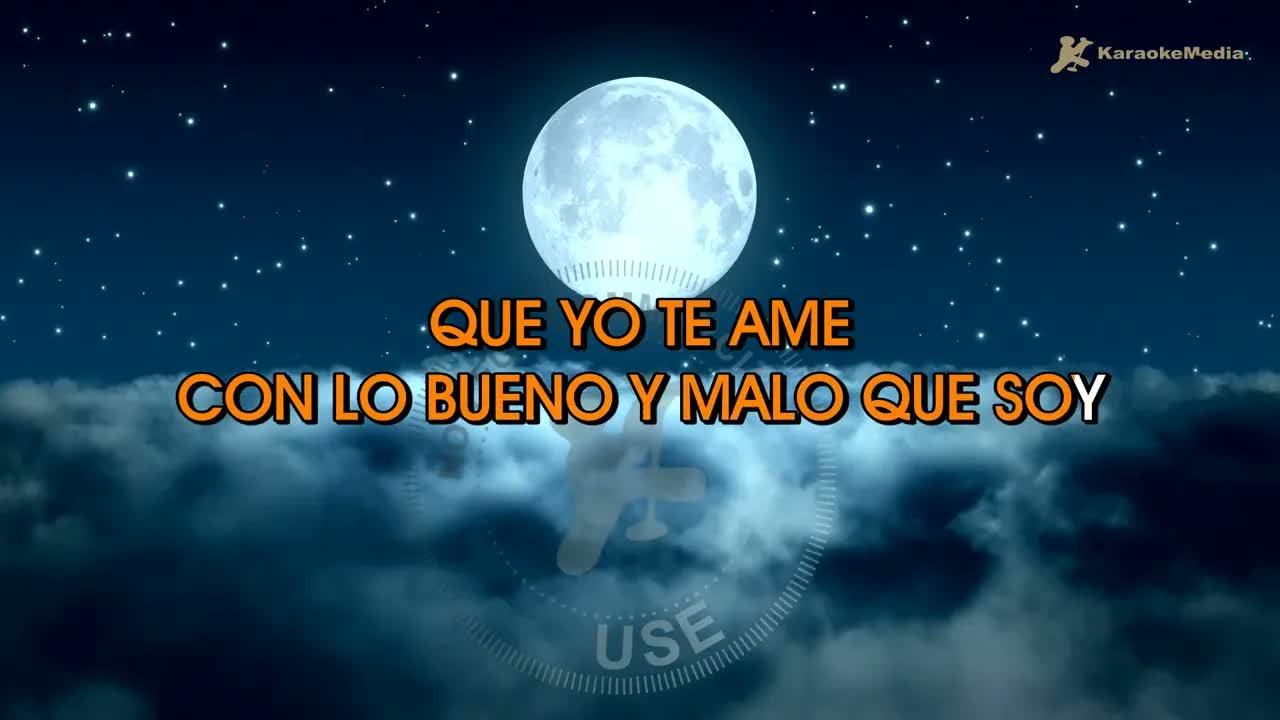 Marco Antonio Solis - Your perfect man