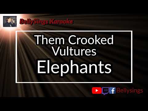 Them Crooked Vultures - Elephants