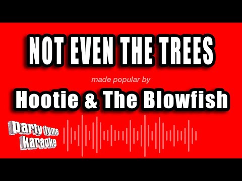 Hootie & The Blowfish - Not Even The Trees