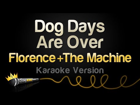 Florence + The Machine - Dog Days Are Over
