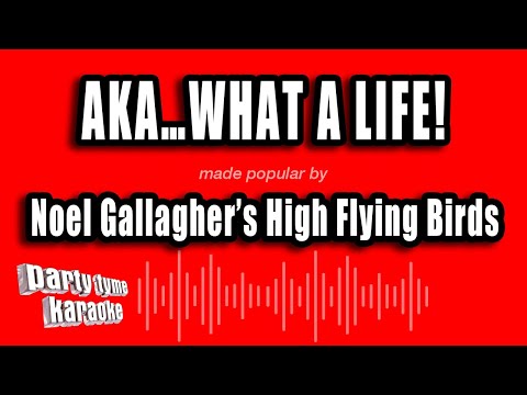 Noel Gallagher's High Flying Birds - Aka…What A Life!