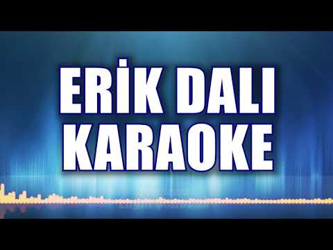ERİK DALI GEVREKTİR KARAOKE ton: LA