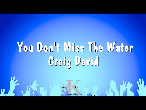 Craig David - You Don't Miss The Water