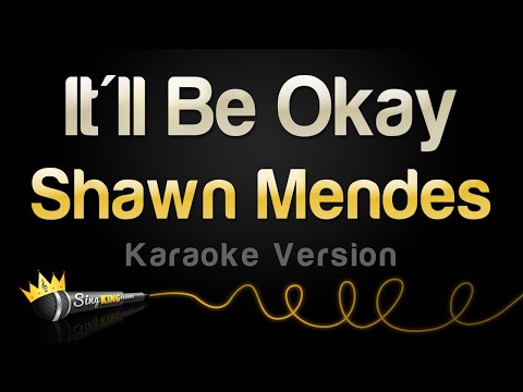Shawn Mendes - It'll Be Okay