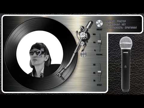Валерий Залкин - Одинокая Ветка Сирени