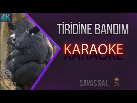 Tridine Bandım Traditional Folk Song