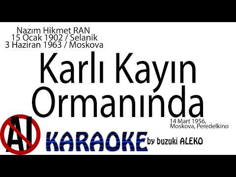 Karlı Kayın Ormanı