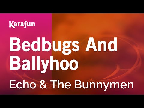 Echo & The Bunnymen - Bedbugs And Ballyhoo