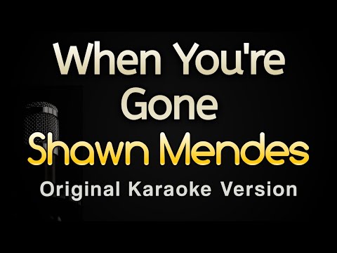 Shawn Mendes - When You're Gone