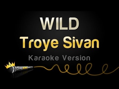 Troye Sivan - WILD