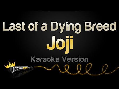Joji - Last of a Dying Breed