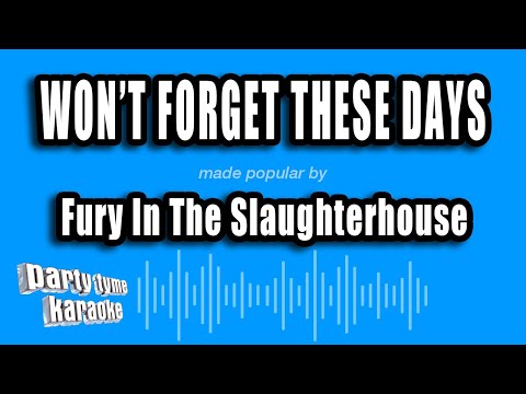 Fury In The Slaughterhouse - Won't Forget These Days