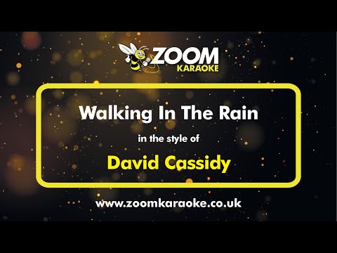 David Cassidy - Walking In The Rain