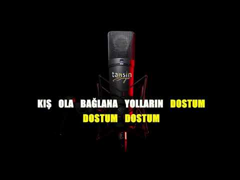 Abdullah Polatçı - Dostum Dostum