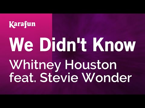 Whitney Houston & Stevie Wonder - We Didn't Know