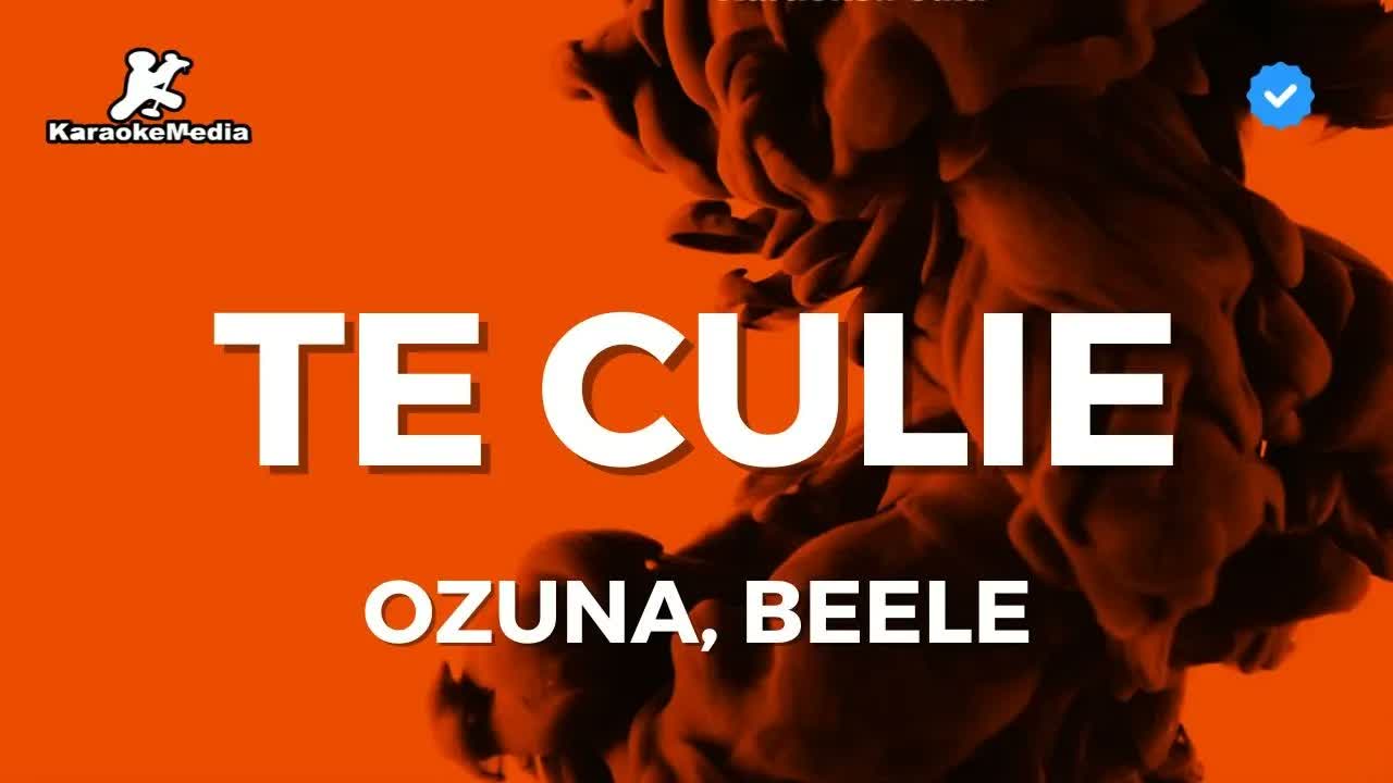 Ozuna, Beele - Te culie (Asereje remix)