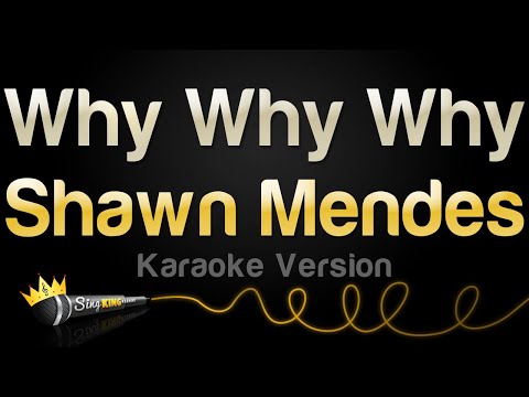 Shawn Mendes - Why Why Why