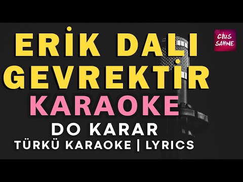 Erik Dalı Gevrektir - Do