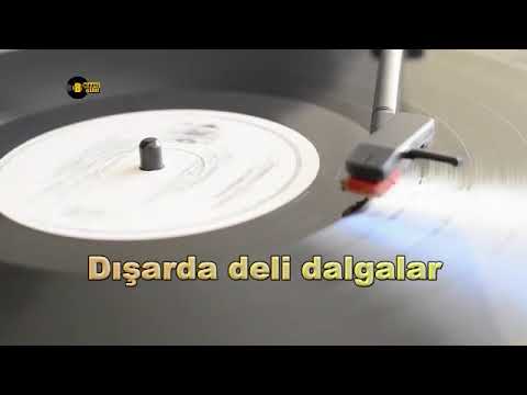 Edip Akbayram - Aldırma Gönül
