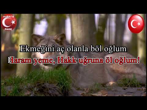 Bil Oğlum