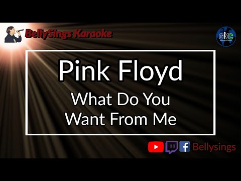 Pink Floyd - What Do You Want From Me