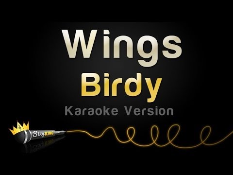 Birdy - Wings