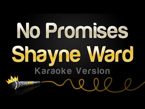 Shayne Ward - No Promises