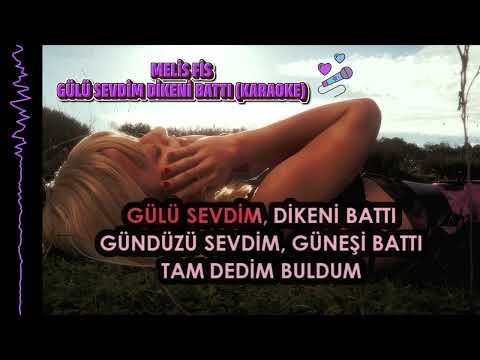 Melis Fis - Gülü Sevdim Dikeni Battı